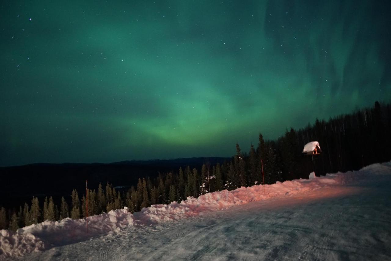 Aurora Villa Fairbanks Dış mekan fotoğraf